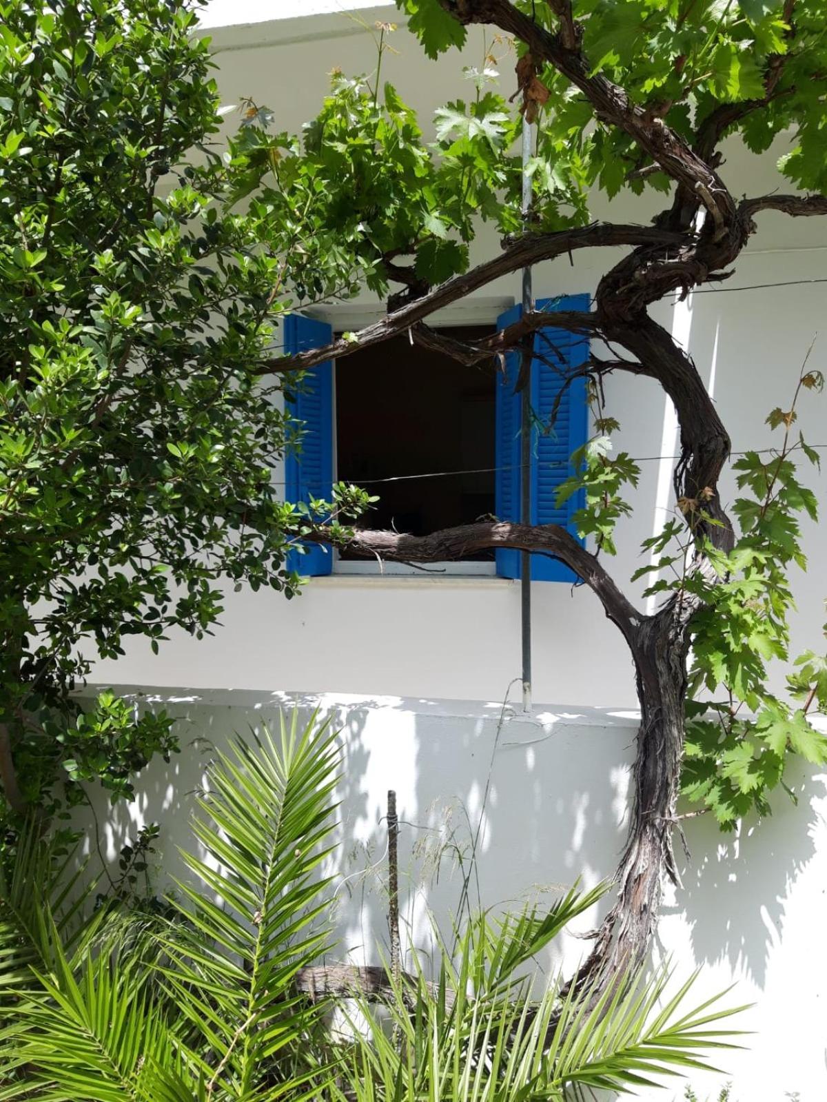Hotel Neos Matala Dış mekan fotoğraf
